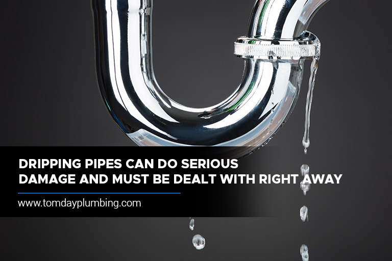 Dripping pipes can do serious damage and must be dealt with right away